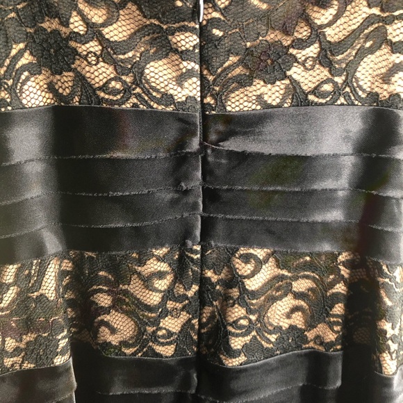 Collection Dress Barn Black and Tan Lace Dress - Picture 4 of 7